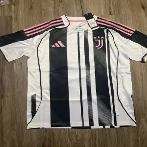 Ferro Luca