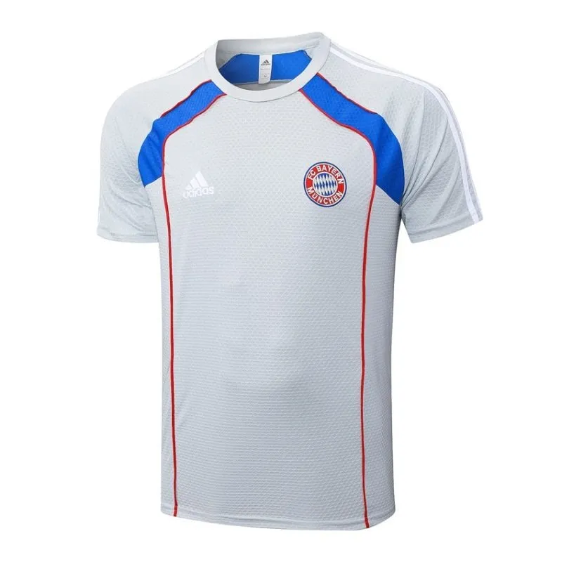 Bayern Munich 2025/26 Training Jersey + Shorts - Gray