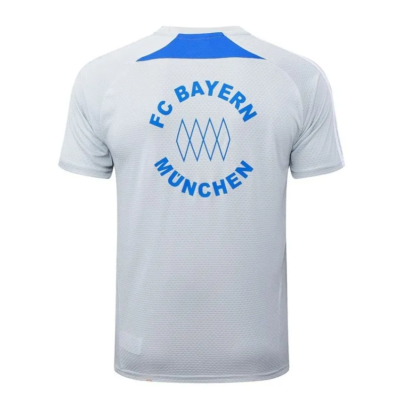 Bayern Munich 2025/26 Training Jersey + Shorts - Gray