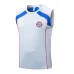 Bayern Munich 2025/26 Shorts and Vest Set - Grey