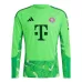 Bayern Munich 2026/27 Goalkeeper Long Sleeve Jersey Green