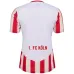 1. FC Köln Carnival Shirt 2024/25 - Fan