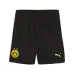 BVB Borussia Dortmund 2024/25 Kinder Replica Kit - Neon