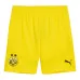 Borussia Dortmund 2024/25 Away Kids Replica Jersey - Black