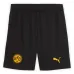 BVB Dortmund 2025/26 Kinder-Pokaltrikot-Set - Gelb