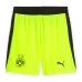 Shorts extérieur Dortmund 2025/26 - Vert