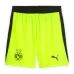 Dortmund GUIRASSY 2025/26 Kit bambino away - Grigio/Verde