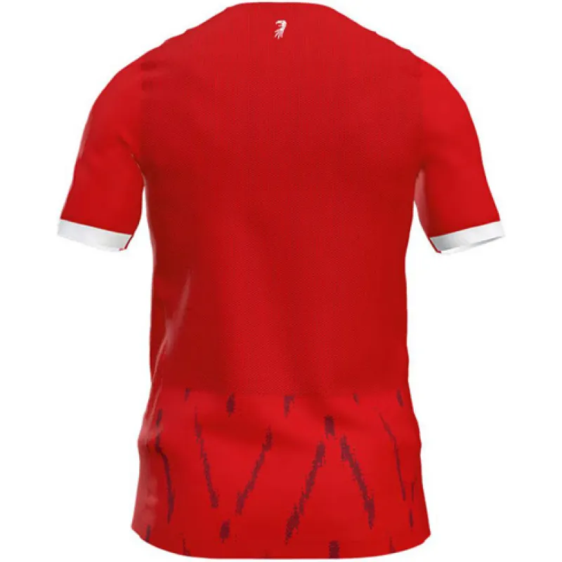 Maillot SC Freiburg Domicile 2024/25 FAN
