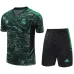 Real Madrid 2024/25 kit de entrenamiento verde