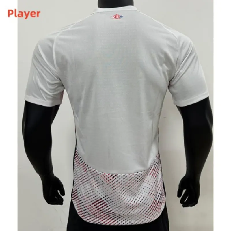 Lille 2024/25 away player's jersey - White