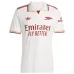 Arsenal 2025/26 Third Jersey