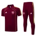 Arsenal 2025/26 Sports Polo - Red