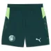 Manchester City 2025/26 Quatrième short - Vert