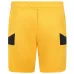 Jeu de maillots pour enfants de domicile de Wolverhampton Wanderers 2024/25 - Jaune