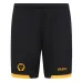 Wolves 2025/26 Home Shorts - Black