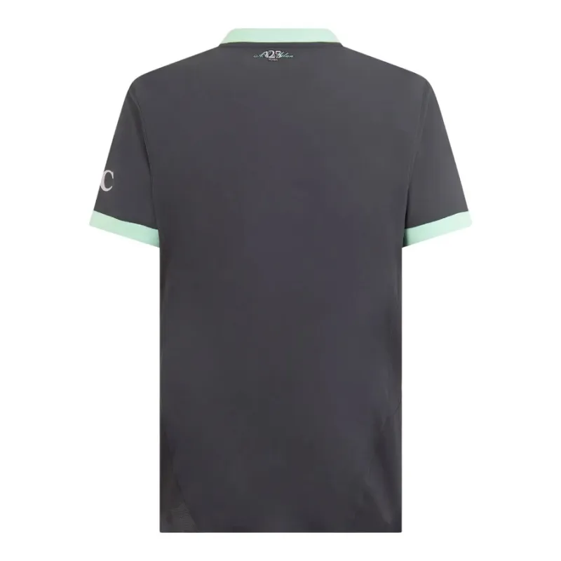 Camiseta tercera 2024/25 del AC Milan - Jugadores - Gris carbón