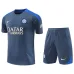 Camicia d'allenamento + calzoni dell'Inter Milan 2024/25 - ingrosso - grigia