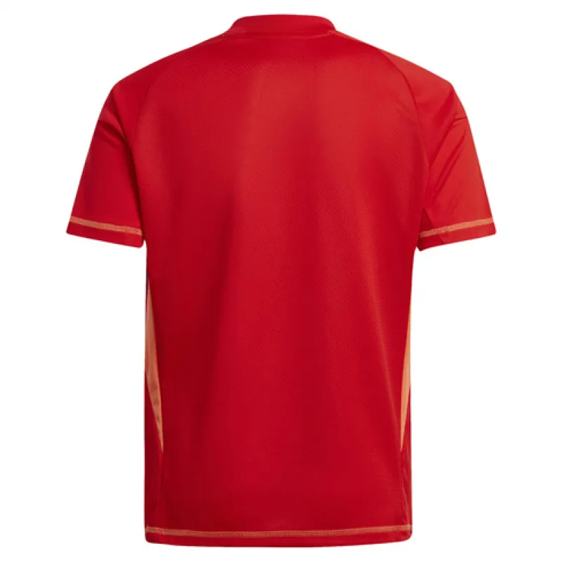 Maglia del portiere di Juventus 2024/25 - Rossa