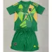 Maillot d'enfant gardien de but de Boca Juniors 2024/25 - Vert