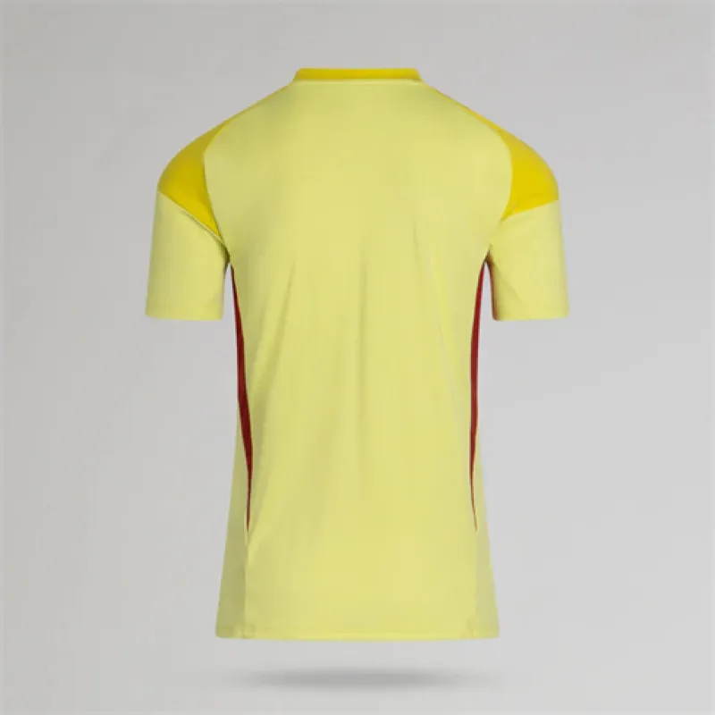Troisième maillot Celtic 2025/26