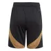 Pantaloncini home della Belgio 2024/25 - Nero