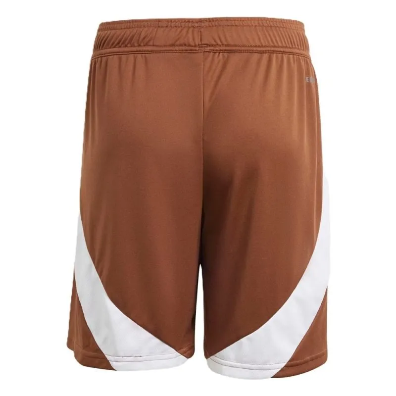 Pantaloncini trasferta della Belgio 2024/25 - Marrone