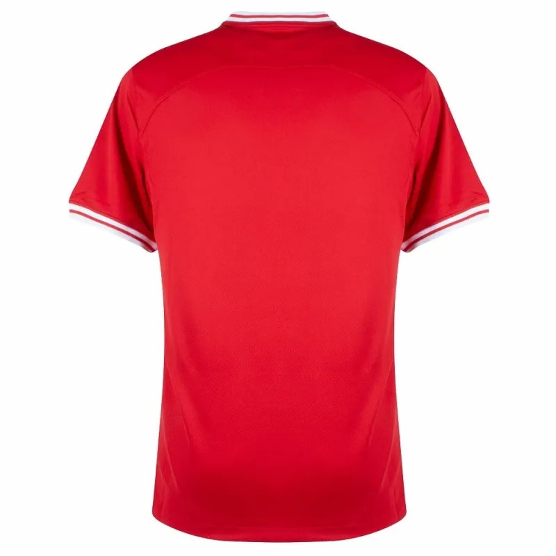 La camiseta visitante de Polonia para la Eurocopa 2024 - Rojo