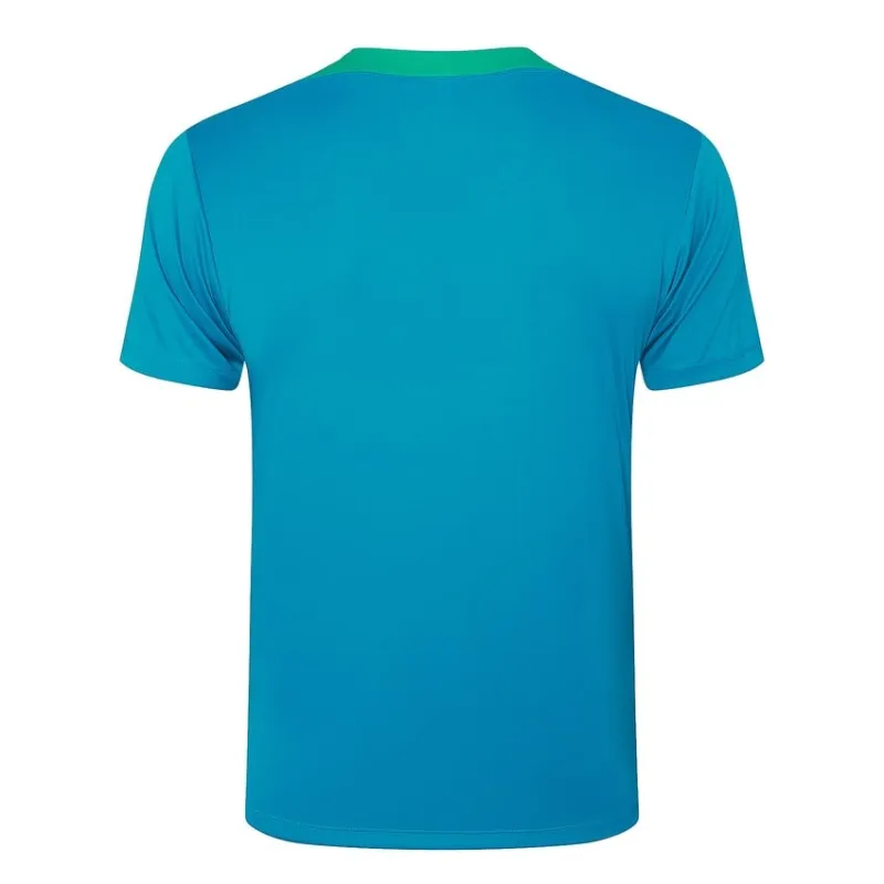 Traje de entrenamiento + pantalones cortos de Portugal 2024/25 - verde