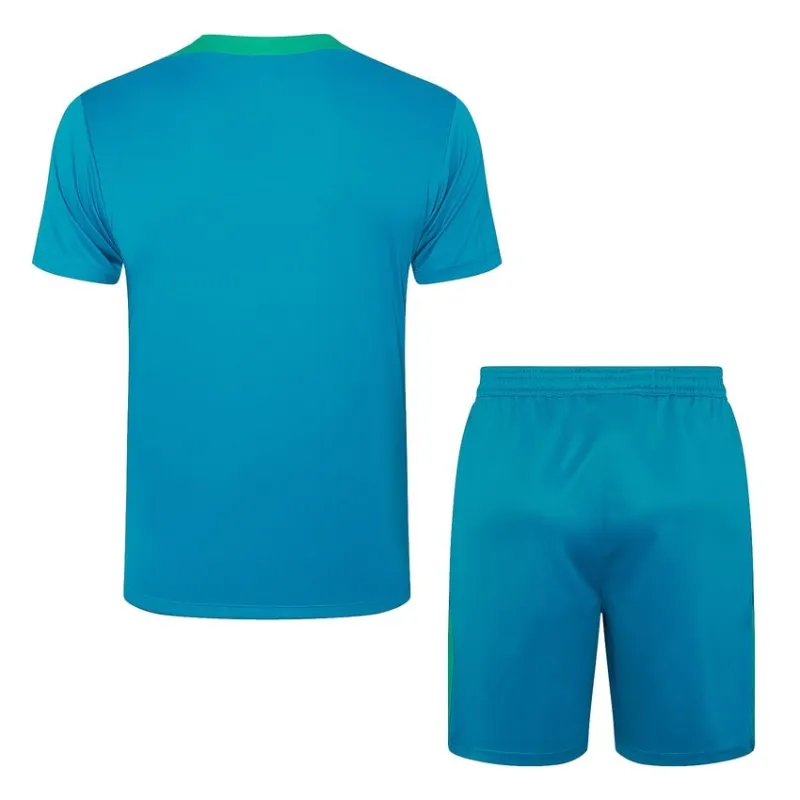 Traje de entrenamiento + pantalones cortos de Portugal 2024/25 - verde