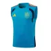 Spain 2026/27 Vest Set Blue