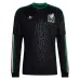 Camiseta México Tercera Manga Larga Copa Mundial 2026/27