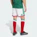 Ensemble Domicile Enfant Mexique 2026/27 - Vert