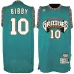 Mike Bibby. Memphis Grizzlies. Hardwood Classics. Verde