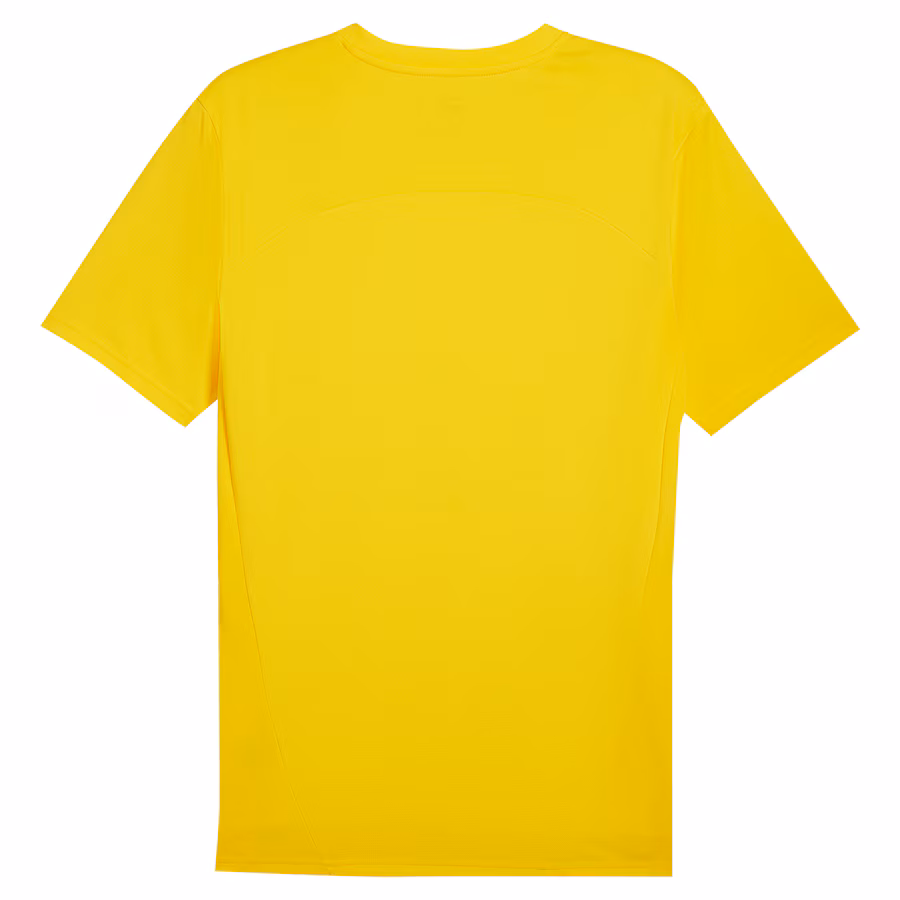 Borussia Dortmund Trainingstrikot 2024/25, gelb